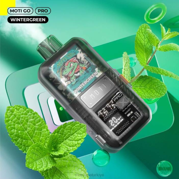 karpuz nane 000H25 - Moti vape amazon MOTI Go Pro tek kullanımlık elektronik sigara (%5, 12000 nefes)