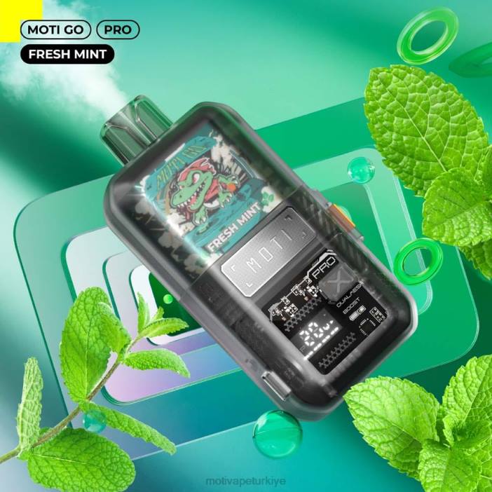 karpuz nane 000H25 - Moti vape amazon MOTI Go Pro tek kullanımlık elektronik sigara (%5, 12000 nefes)
